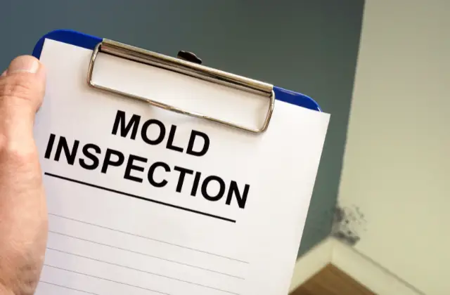 mold inspection clipboard