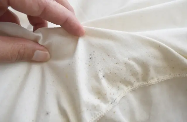 molds on fabric - featured image